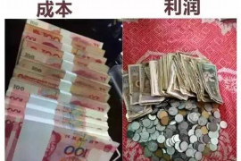 平乐为什么选择专业追讨公司来处理您的债务纠纷？